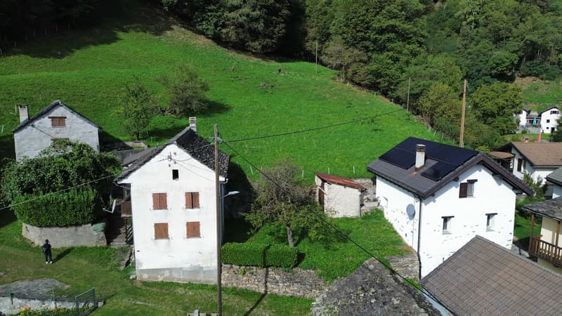 Image 8