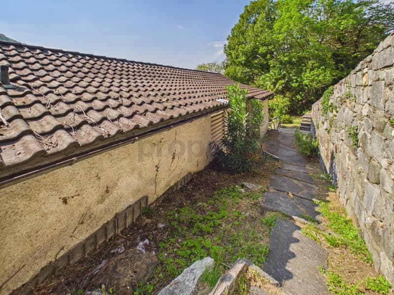 Image 10