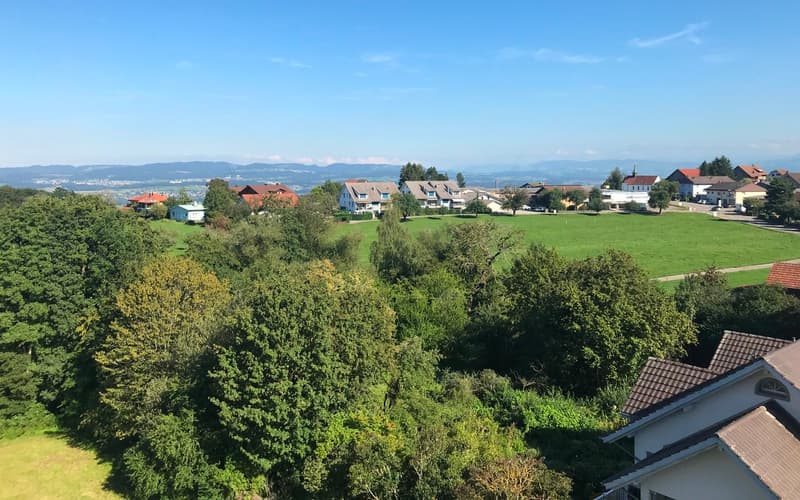 Bright, spacious 5½ room maisonette apartment (DG3) (13)
