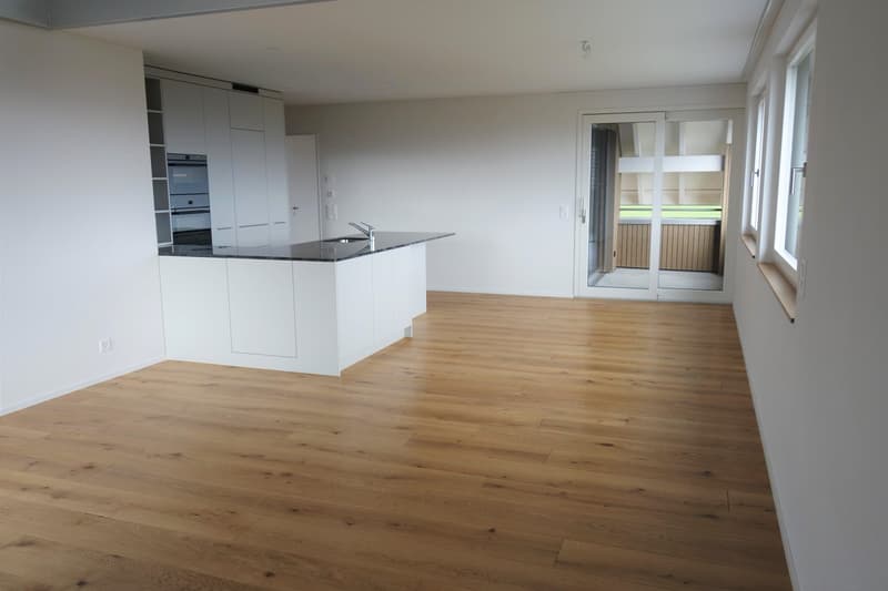 Bright, spacious 5½ room maisonette apartment (DG3) (3)