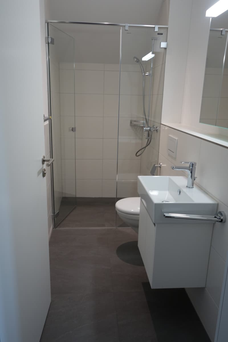 Bright, spacious 5½ room maisonette apartment (DG3) (9)