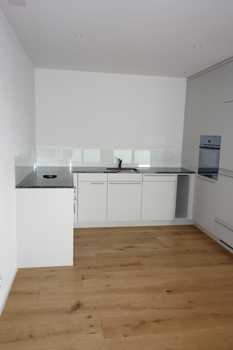 Helle, grosszügige 2½ Zi-Wohnung (OG3) (3)