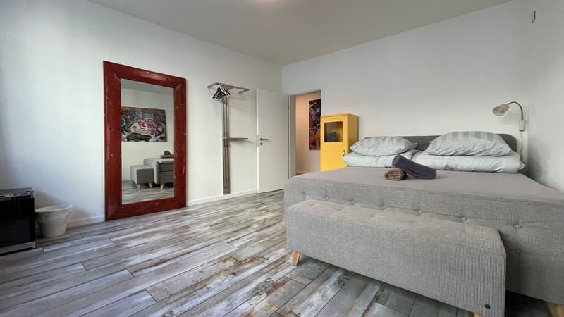 Jewel in a central location in Kleinbasel. "Airbnb, attic apartment with (9)