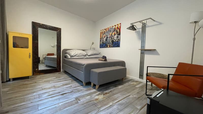 Jewel in a central location in Kleinbasel. "Airbnb, attic apartment with (6)