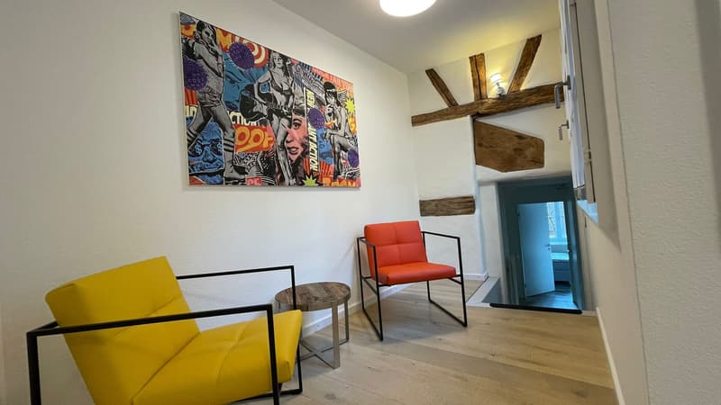 Jewel in a central location in Kleinbasel. "Airbnb, attic apartment with (13)