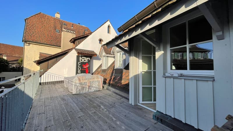 Jewel in a central location in Kleinbasel. "Airbnb, attic apartment with (4)