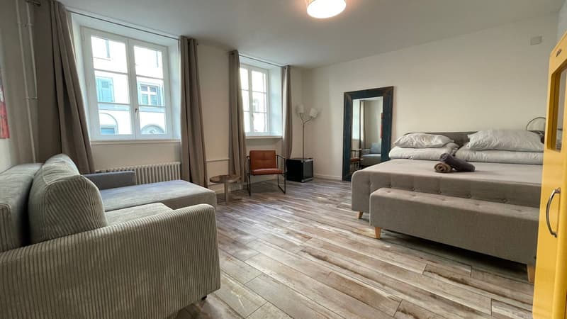 Jewel in a central location in Kleinbasel. "Airbnb, attic apartment with (11)