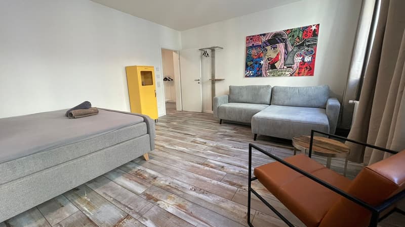 Jewel in a central location in Kleinbasel. "Airbnb, attic apartment with (12)