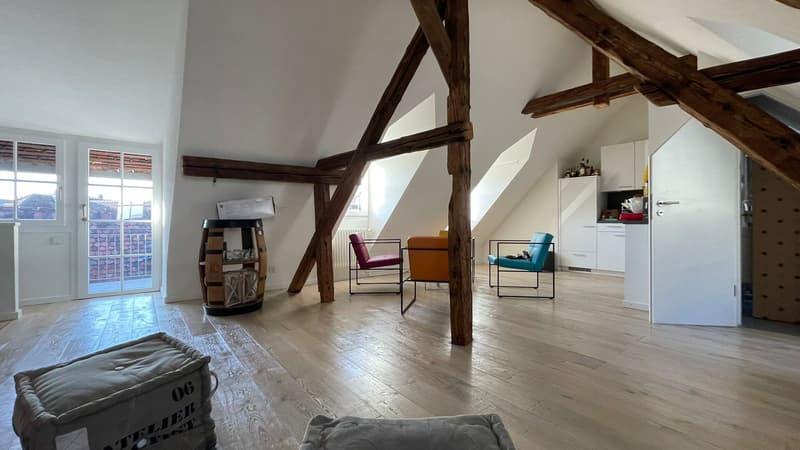 Jewel in a central location in Kleinbasel. "Airbnb, attic apartment with (3)