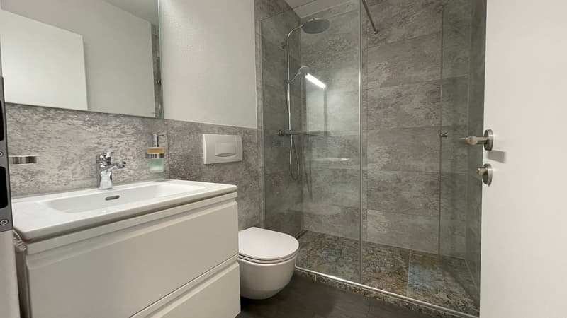 Jewel in a central location in Kleinbasel. "Airbnb, attic apartment with (8)