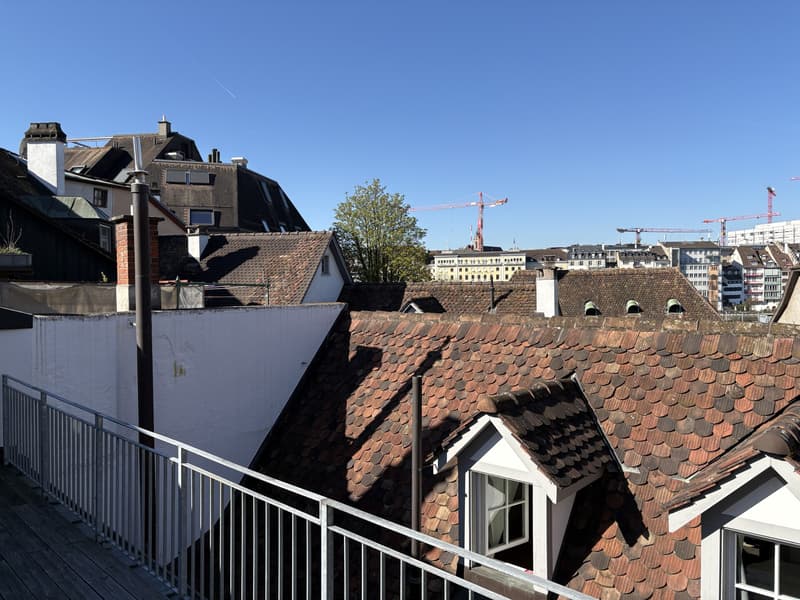 Jewel in a central location in Kleinbasel. "Airbnb, attic apartment with (5)