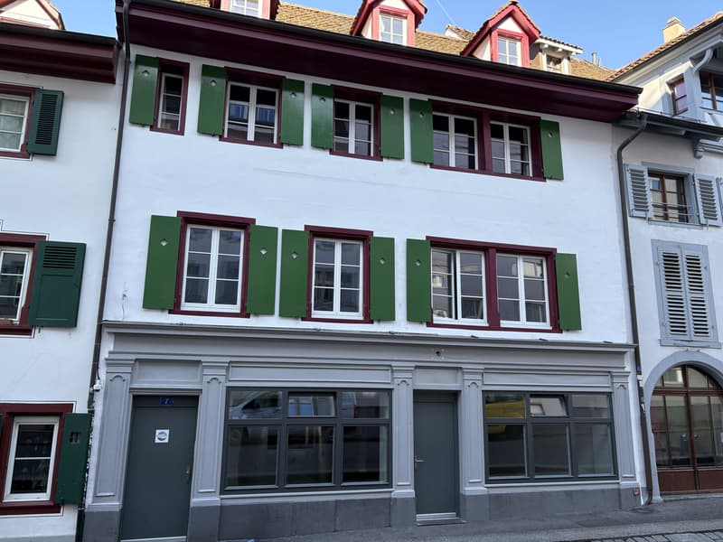 Jewel in a central location in Kleinbasel. "Airbnb, attic apartment with (1)