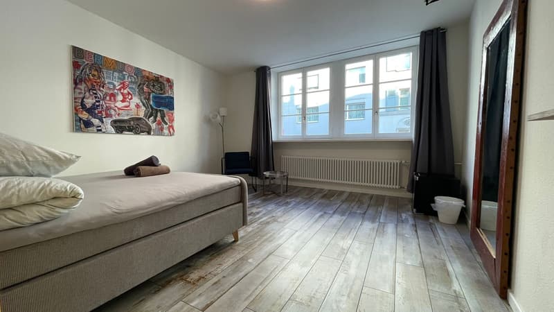 Jewel in a central location in Kleinbasel. "Airbnb, attic apartment with (10)