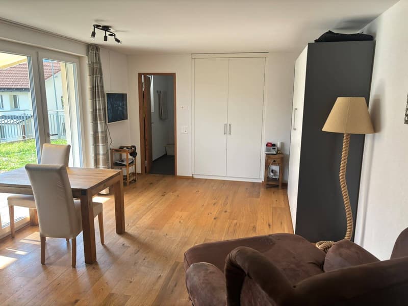 Möbliertes Studio inmitten der Bergregion Disentis/Mustér (2)