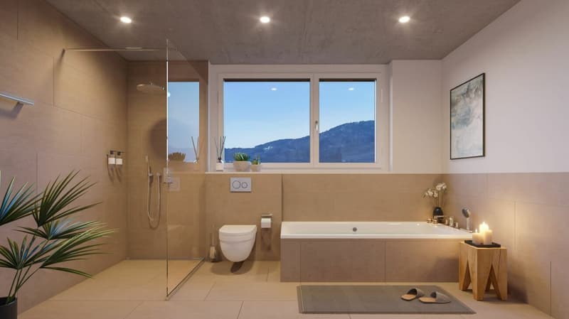 Extremely spacious 5.5-room apartment, new building (3)