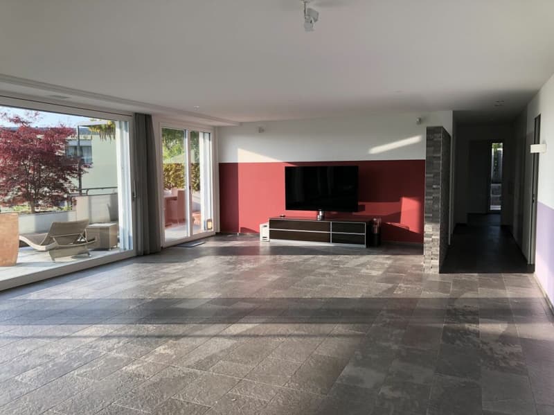 Grandiosa, lussuosa appartamento con terrazza e vista sulle montagne (4)