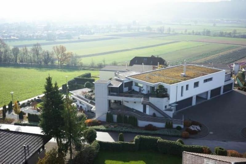 Grandiosa, lussuosa appartamento con terrazza e vista sulle montagne (14)