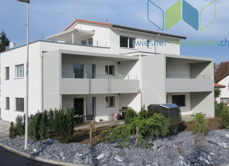 Appartamento in mansarda di 3½ locali con grande terrazza sul tetto (2)