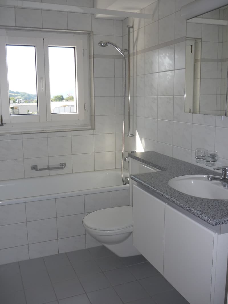 3-Zimmer-Wohnung mit Sitzplatz in Frick (3)