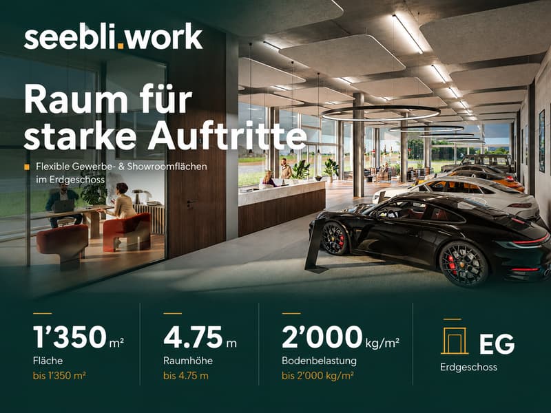 Showroomfläche im EG mit Anlieferung & Gewerbeteil – bis 1’350 m² (1)