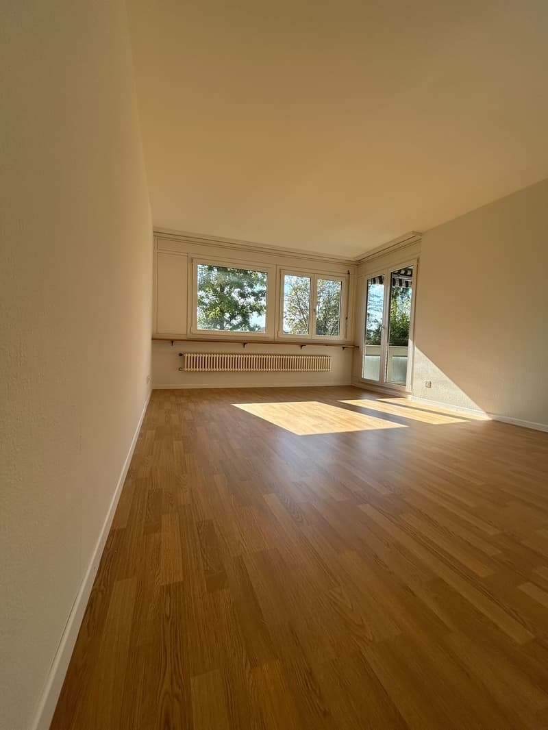 Charmante 4.5-Zimmer-Wohnung mit Balkon in Brugg – ab sofort verfügbar! (5)