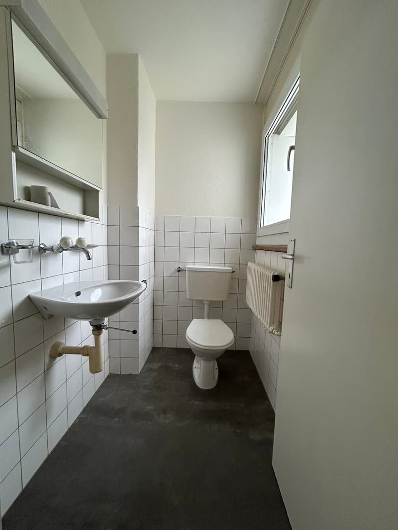 Charmante 4.5-Zimmer-Wohnung mit Balkon in Brugg – ab sofort verfügbar! (10)