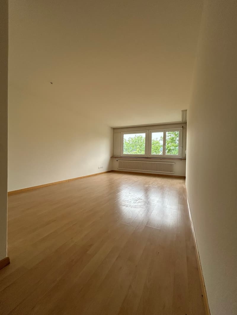 Charmante 4.5-Zimmer-Wohnung mit Balkon in Brugg – ab sofort verfügbar! (9)