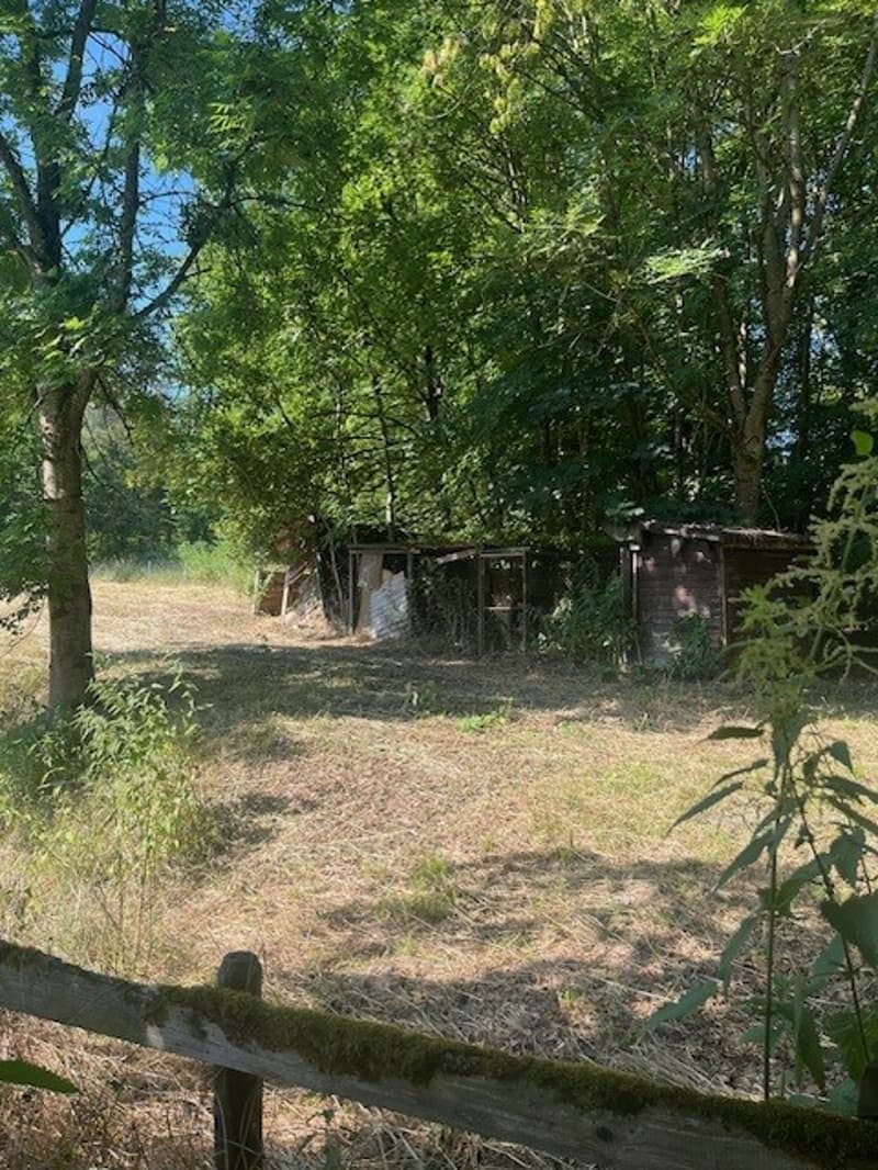 Idyllische Blockhütte im Grünen (7)