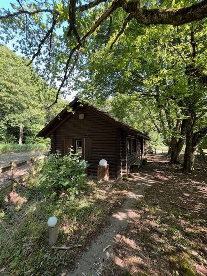Idyllische Blockhütte im Grünen (6)