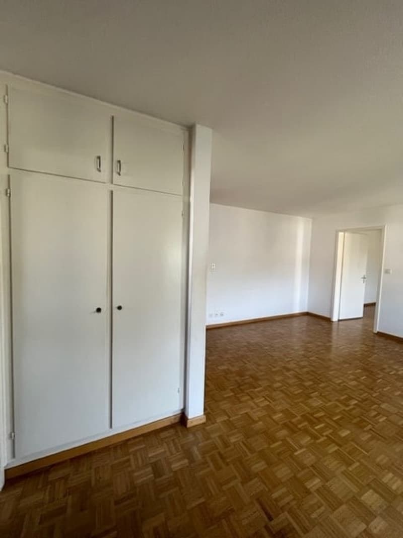 Appartamento carino e tranquillo di 3 locali a Hausen AG (3)