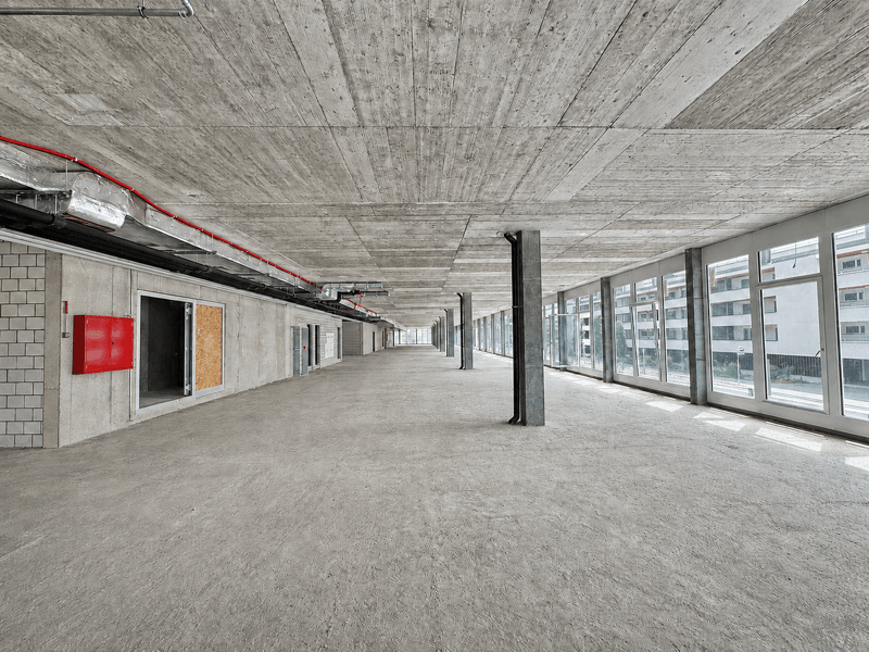 Wo Lernen Raum bekommt – bis zu 2’000 m² im Zelgli-Work (6)