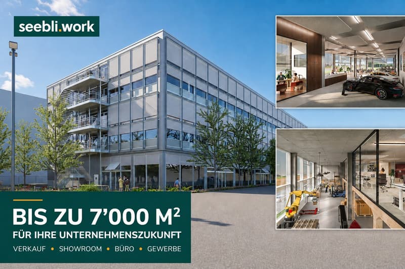 seebli.work: hier kann Ihr Unternehmen wachsen! (1)