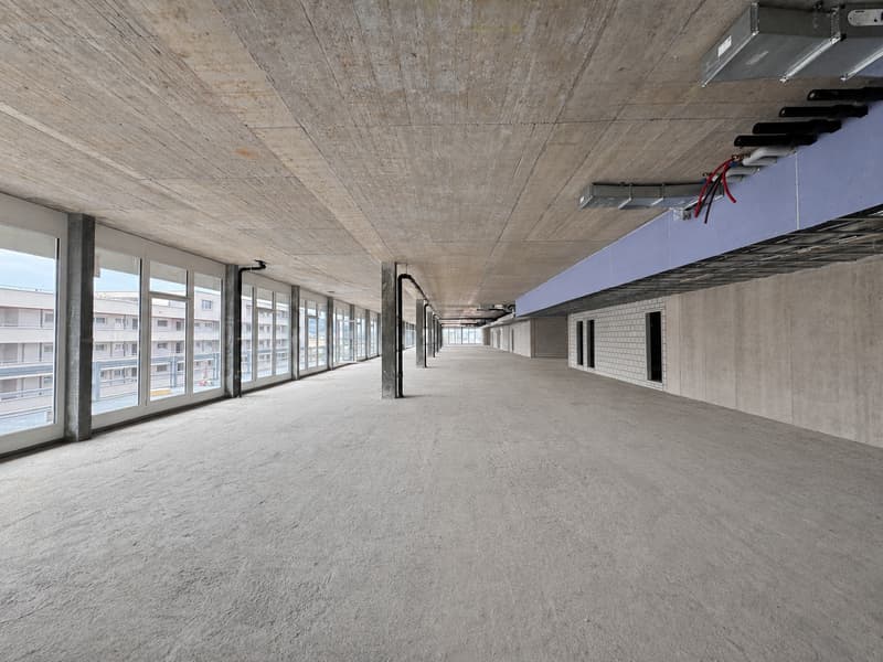 Wo Lernen Raum bekommt – bis zu 2’000 m² im Zelgli-Work (5)