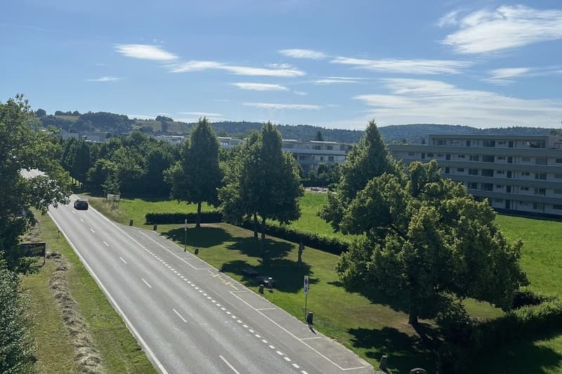 Zelgli Sky - Leben über den Dächern von Staufen! (10)