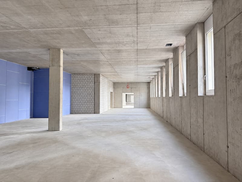 240 m² für Ihr Geschäft: Fachhandel, Showroom oder Atelier (2)