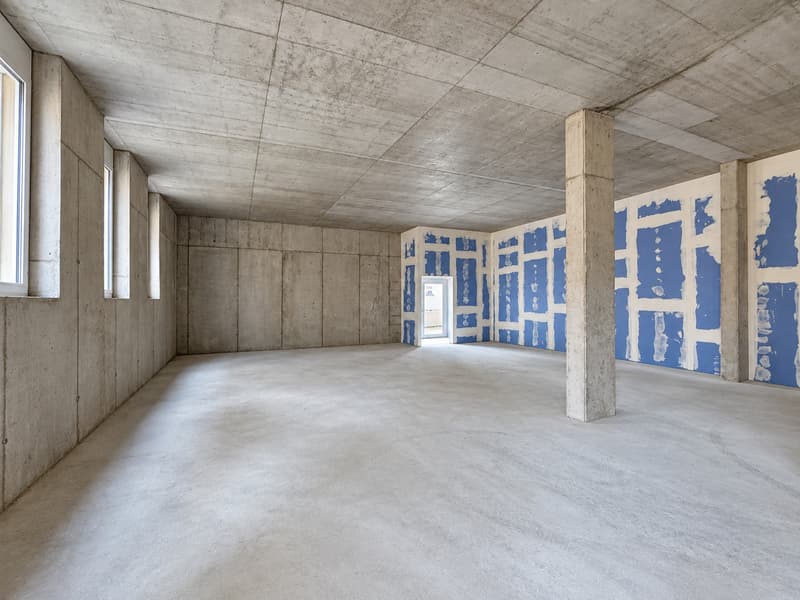 240 m² für Ihre Tierarztpraxis – im Zelgli-Work in Staufen bei Lenzburg (3)