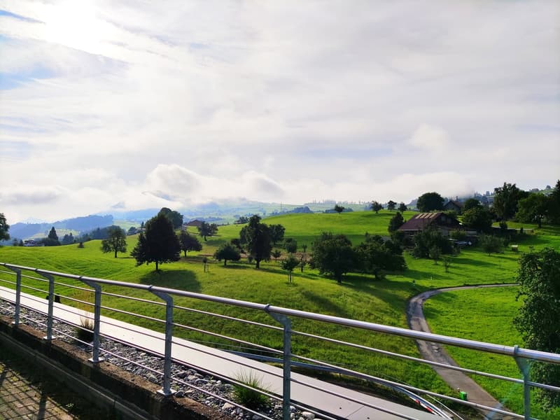 green grass, trees, houses, mountains, cloudy sky
