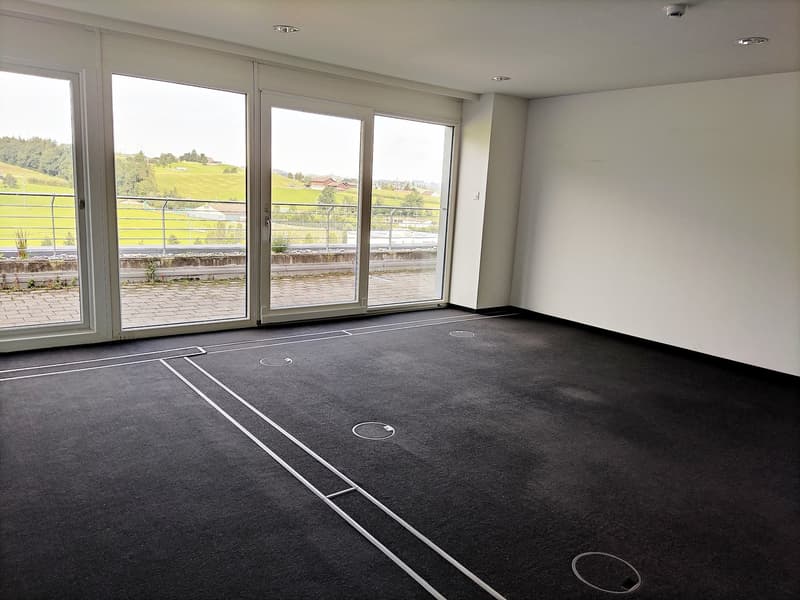 empty room, large glass doors, black carpet, white walls, view of a green field