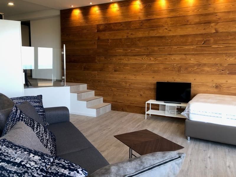 Studio-Wohnung an wunderschöner Aussichtslage oberhalb des Bodensees! (4)