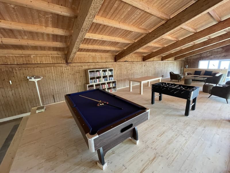 Studio-Wohnung an wunderschöner Aussichtslage oberhalb des Bodensees! (13)