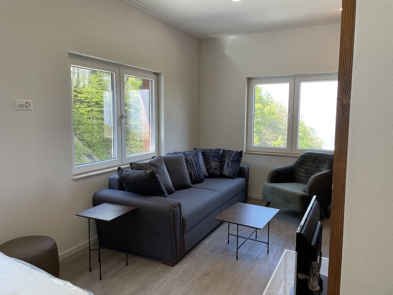Studio-Wohnung an wunderschöner Aussichtslage oberhalb des Bodensees! (9)