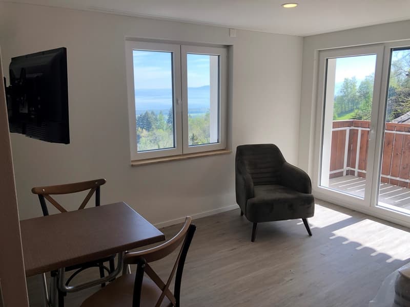 Studio-Wohnung an wunderschöner Aussichtslage oberhalb des Bodensees! (6)