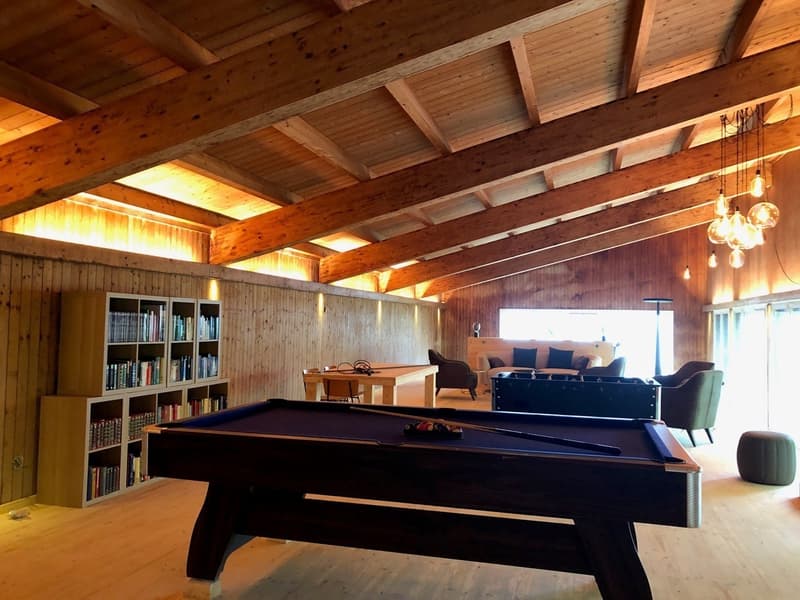 Studio-Wohnung an wunderschöner Aussichtslage oberhalb des Bodensees! (12)