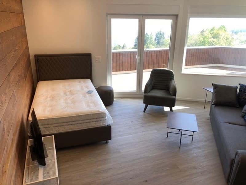 Studio-Wohnung an wunderschöner Aussichtslage oberhalb des Bodensees! (5)