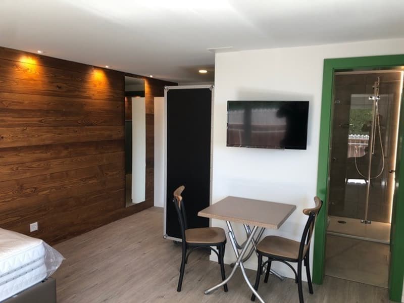Studio-Wohnung an wunderschöner Aussichtslage oberhalb des Bodensees! (3)