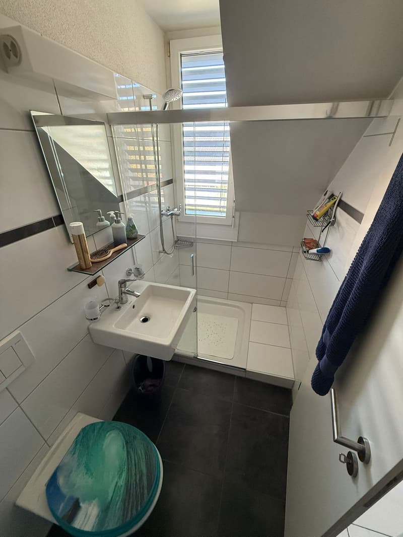 4.5-room attic apartment with winter garden, attic storage & spacious outdoor areas (9)