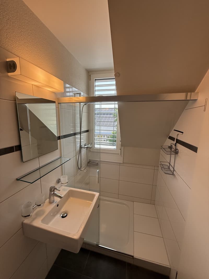 4.5-room attic apartment with winter garden, attic storage & spacious outdoor areas (6)