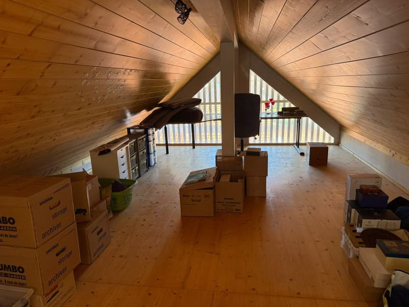 4.5-room attic apartment with winter garden, attic storage & spacious outdoor areas (13)