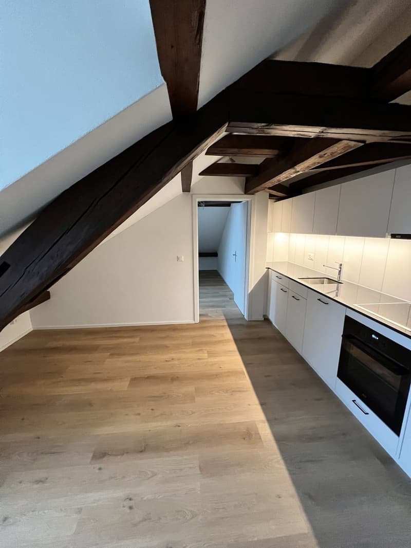 Bel appartement 2.5 pièces à louer (7)