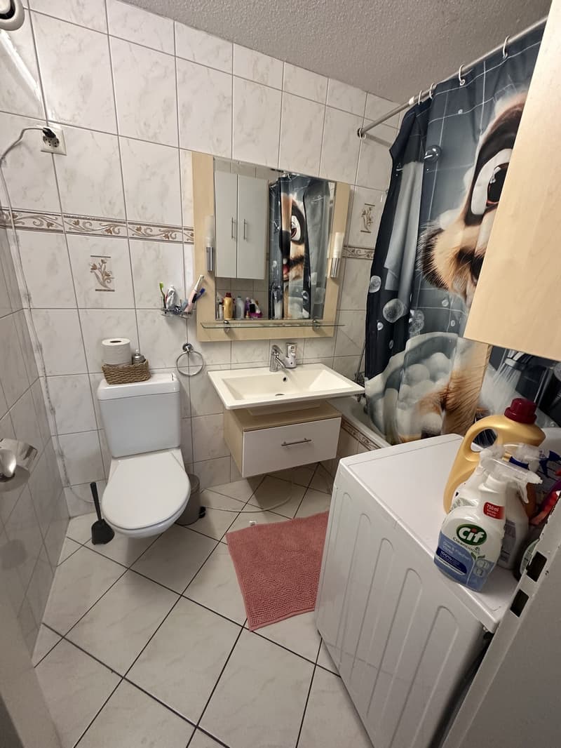 Appartement 3.5 pièces abordable au 6e étage à louer (6)